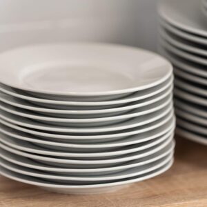 Appetizer Plates (6-inch)